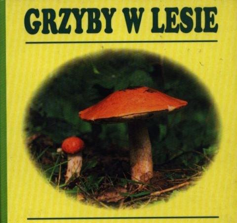 Grzyby w lesie harmonijka