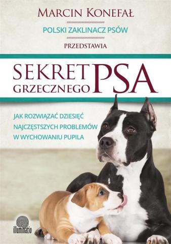 Sekret grzecznego psa