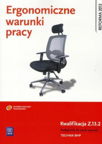 Ergonomiczne warunki pracy. Kwalifikacja Z.13.2