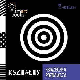 Książeczka poznawcza 3 M+ Kształty