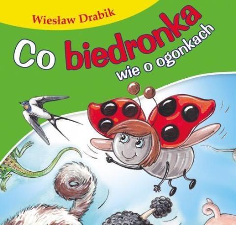 Bajki dla malucha - Co biedronka wie o ogonkach