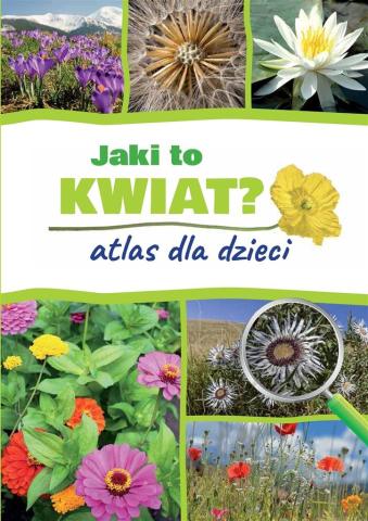 Jaki to kwiat? Atlas dla dzieci