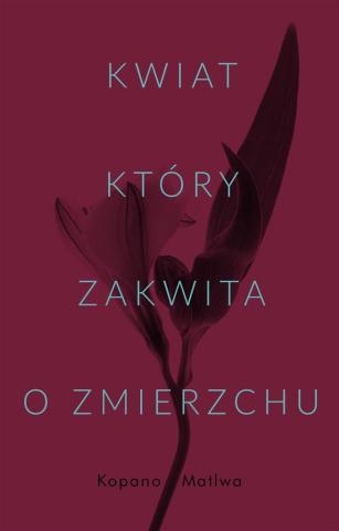 Kwiat, który zakwita o zmierzchu