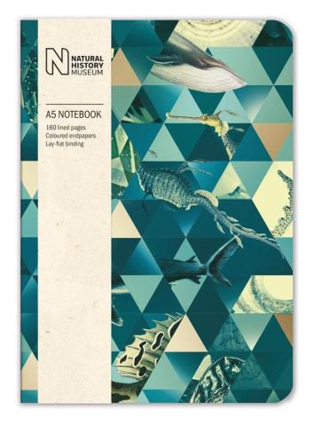 Notatnik ozdobny A5 Sealife 160 stron linia