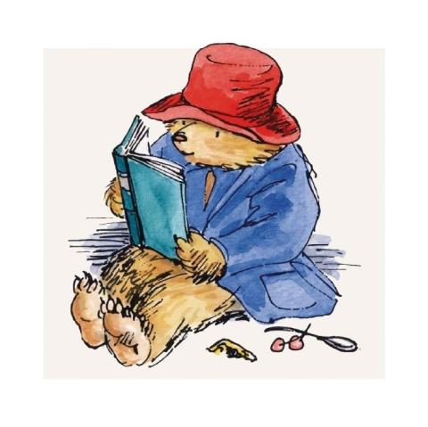 Karnet kwadrat z kopertą Paddington Reading