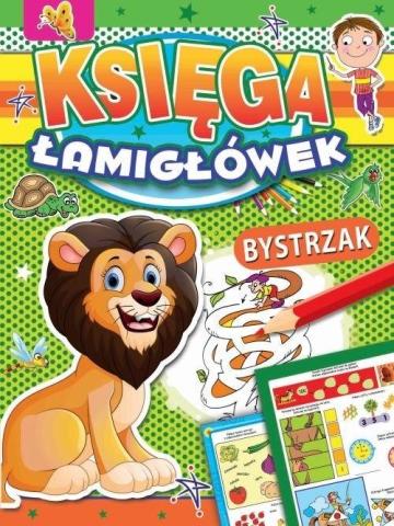 Księga łamigłówek. Bystrzak