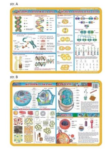 Podkładka edu. 057 - Budowa i replikacje DNA...