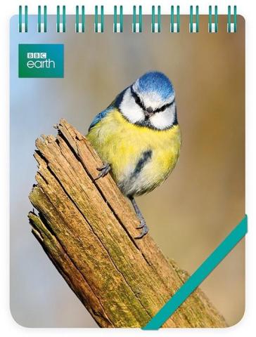 Kołonotes ozdobny Blue Tit