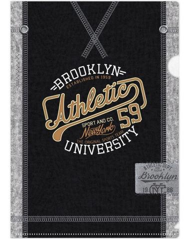 Obwoluta L Brooklyn university ARGUS