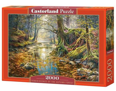 Puzzle 2000 Wspomnienie z jesiennego lasu CASTOR