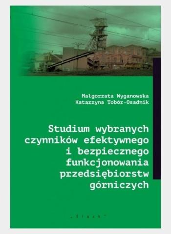 Studium wybranych czynników efektywnego...