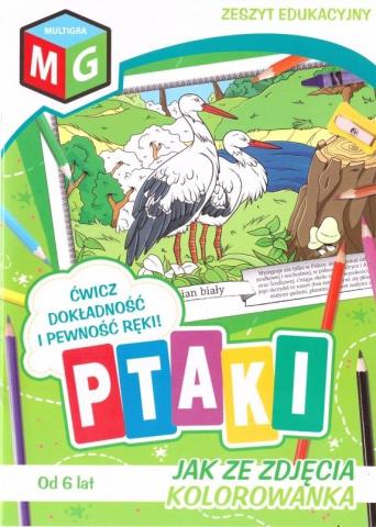 Jak ze zdjęcia - Ptaki