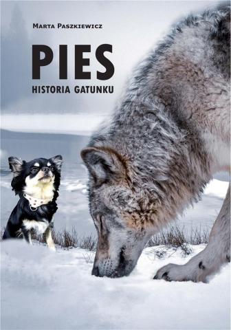 Pies. Historia gatunku