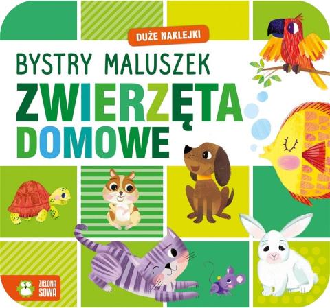 Bystry maluszek. Zwierzęta domowe