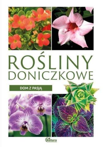 Dom z pasją. Rośliny doniczkowe