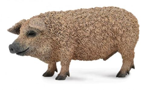 Świnia węgierska Mangalica