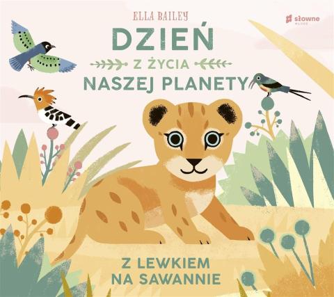 Dzień z życia naszej planety Z lewkiem na sawannie