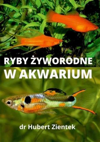 Ryby żyworodne w akwarium