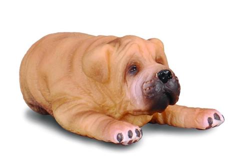 Pies rasy shar pei szczęnię