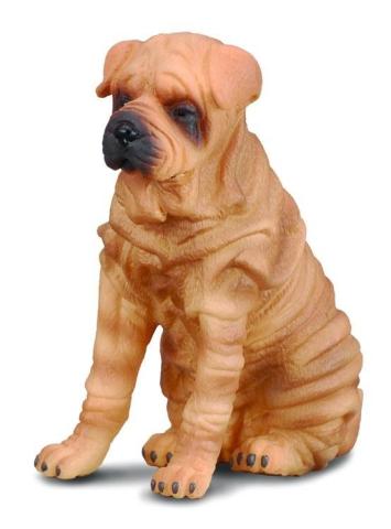 Pies shar pei