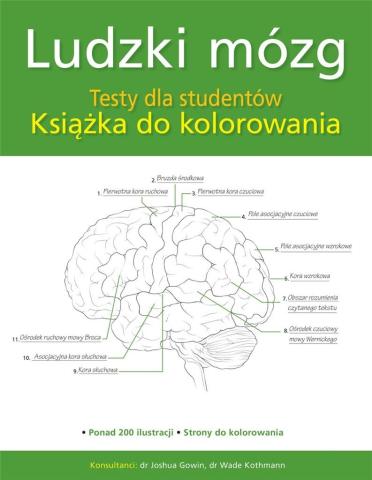 Ludzki mózg. Testy dla studentów