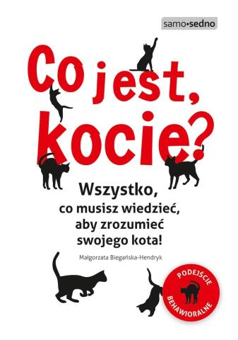 Co jest, kocie? Wszystko, co musisz wiedzieć..