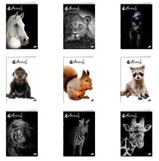 Zeszyt A5/60K linia ANIMALS MIX (10szt)