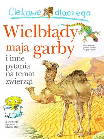 Ciekawe dlaczego wielbłądy maja garby