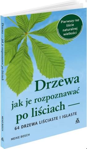 Drzewa jak je rozpoznawać po liściach