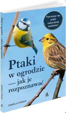 Ptaki w ogrodzie - jak je rozpoznawać