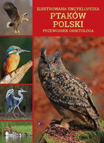 Ilustrowana encyklopedia ptaków Polski