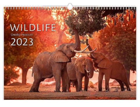Kalendarz 2023 ścienny Wildlife HELMA