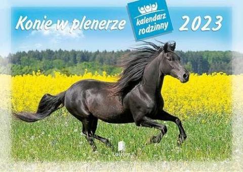 Kalendarz 2023 Rodzinny Konie w plenerze
