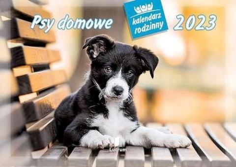 Kalendarz 2023 Rodzinny Psy domowe