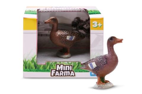 Mini farma Kaczka