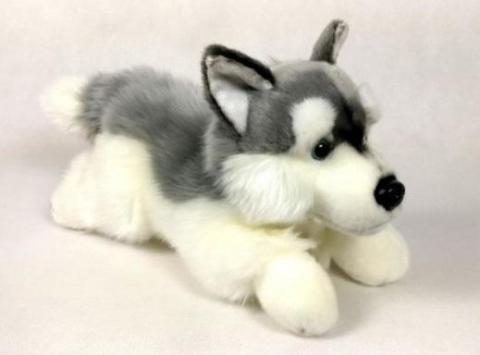 Pies Husky 30cm