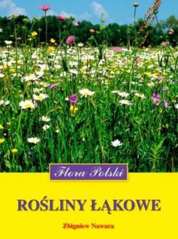 Rośliny łąkowe. Flora Polski