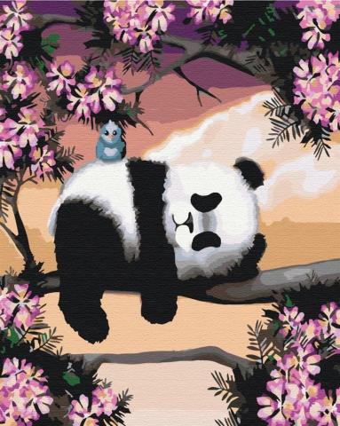 Malowanie po numerach Śpiąca panda 40x50cm