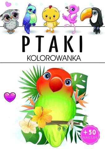 Ptaki - kolorowanka