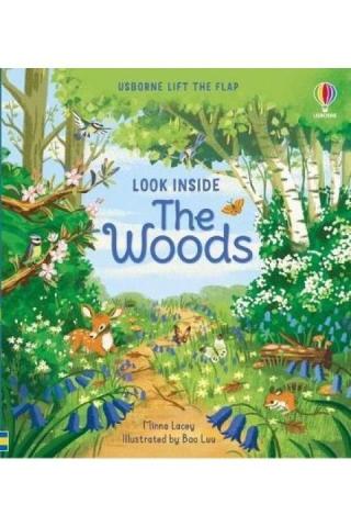 Look Inside the Woods