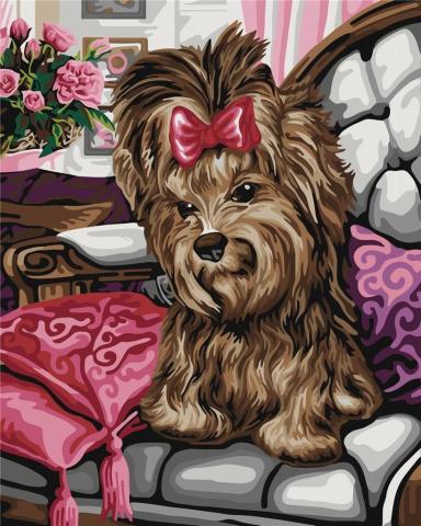 Malowanie po numerach - Yorkshire terrier 40x50cm