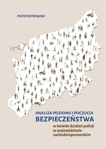 Analiza poziomu i poczucia bezpieczeństwa..