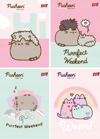 Zeszyt A5/32K linia Pusheen (15szt)