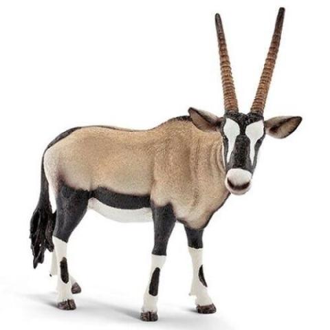 Antylopa oryx