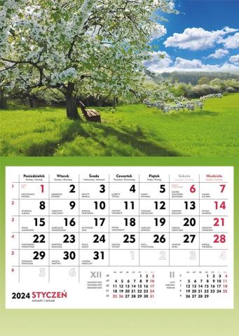 Kalendarz 2024 Ścienny Jabłoń wiosną