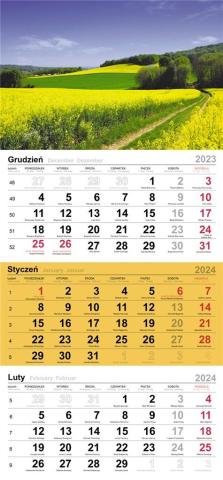 Kalendarz 2024 Trójdzielny pola rzepaku