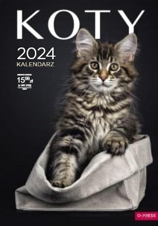 Kalendarz 2024 ścienny A3 Koty