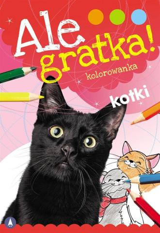 Ale gratka! Kotki