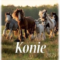 Kalendarz 2025 wieloplanszowy Konie