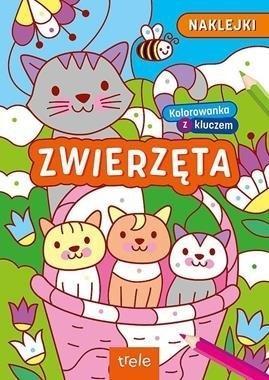 Kolorowanki z kluczem. Zwierzęta